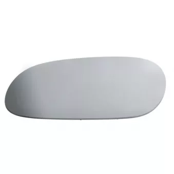 Verre de rétroviseur, rétroviseur extérieur BLIC 6102-02-1291528P