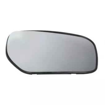 Verre de rétroviseur, rétroviseur extérieur BLIC 6102-02-1292110P