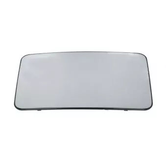 Verre de rétroviseur, rétroviseur extérieur BLIC 6102-02-1293977P