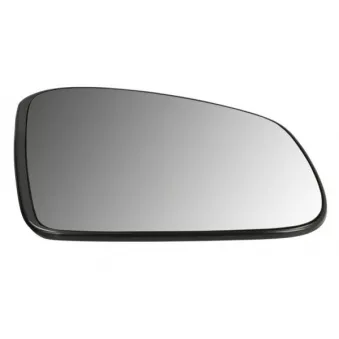 Verre de rétroviseur, rétroviseur extérieur BLIC 6102-02-1321311P