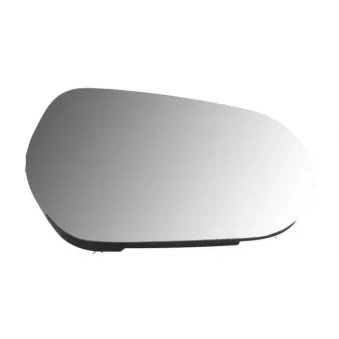 Verre de rétroviseur, rétroviseur extérieur BLIC 6102-03-2326311P