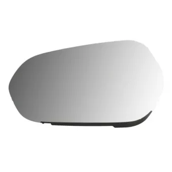 Verre de rétroviseur, rétroviseur extérieur BLIC 6102-03-2326312P