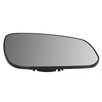 Verre de rétroviseur, rétroviseur extérieur BLIC 6102-04-1072313P