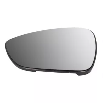 Verre de rétroviseur, rétroviseur extérieur BLIC 6102-04-2137310P