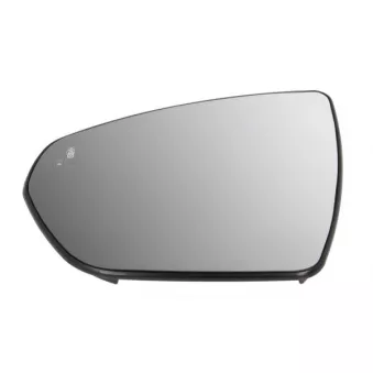 Verre de rétroviseur, rétroviseur extérieur BLIC 6102-04-2304312P