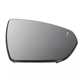 Verre de rétroviseur, rétroviseur extérieur BLIC 6102-04-2304313P