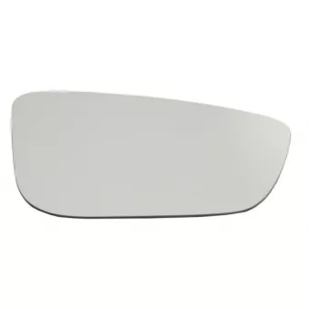 Verre de rétroviseur, rétroviseur extérieur BLIC 6102-05-2160373P