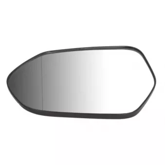 Verre de rétroviseur, rétroviseur extérieur BLIC 6102-19-2002513P