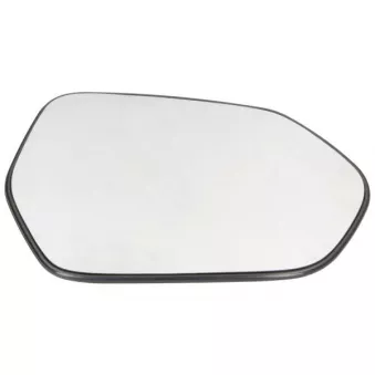 Verre de rétroviseur, rétroviseur extérieur BLIC 6102-19-2175313P