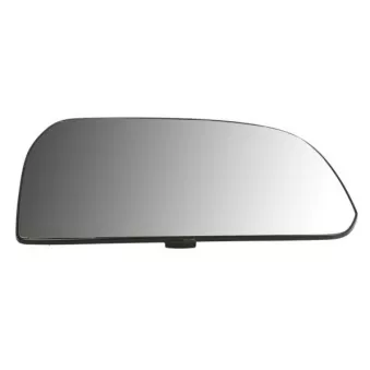 Verre de rétroviseur, rétroviseur extérieur BLIC 6102-20-0569374P