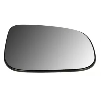 Verre de rétroviseur, rétroviseur extérieur BLIC 6102-24-1517313P