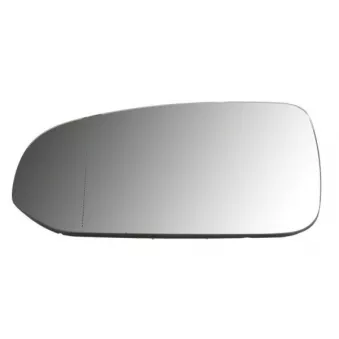 Verre de rétroviseur, rétroviseur extérieur BLIC 6102-24-2025310P