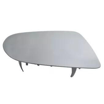 Verre de rétroviseur, rétroviseur extérieur BLIC 6102-25-045368P