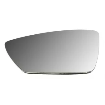 Verre de rétroviseur, rétroviseur extérieur BLIC 6102-43-1925310P