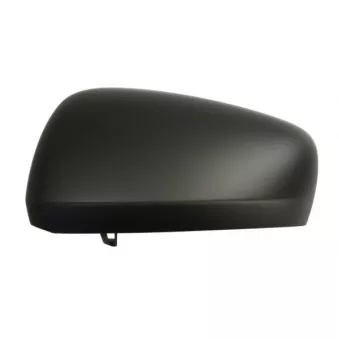 Revêtement, rétroviseur extérieur BLIC 6103-09-1241310P