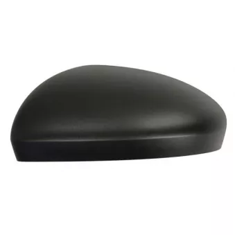 Revêtement, rétroviseur extérieur BLIC 6103-09-2345310P