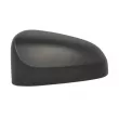 Revêtement, rétroviseur extérieur BLIC 6103-19-2539310P - Visuel 1