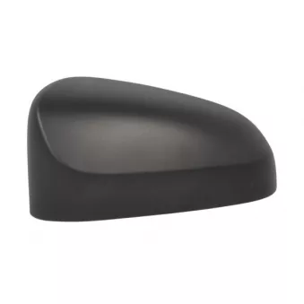 Revêtement, rétroviseur extérieur BLIC 6103-19-2539310P