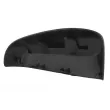 Revêtement, rétroviseur extérieur BLIC 6103-19-2539310P - Visuel 2