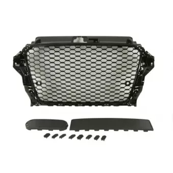 Grille de radiateur BLIC 6502-07-0027991KP