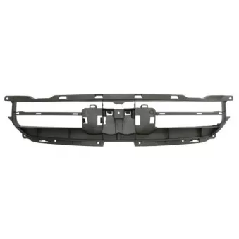 Support, grille de radiateur BLIC 6502-07-0029995P