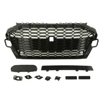 Grille de radiateur BLIC 6502-07-0030992KP