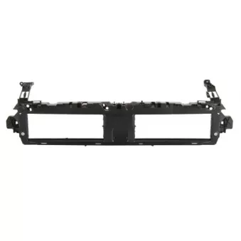 Support, grille de radiateur BLIC 6502-07-0030995PP