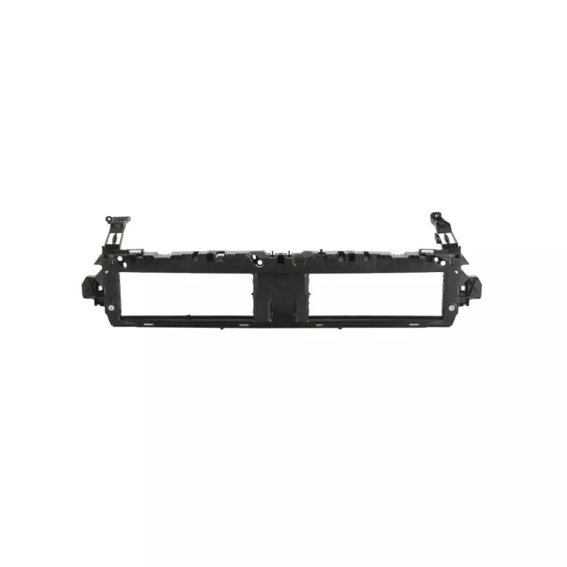 Support, grille de radiateur BLIC 6502-07-0030995PP