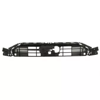 Support, grille de radiateur BLIC 6502-07-0043995P