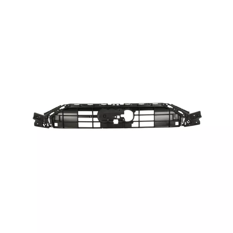 Support, grille de radiateur BLIC 6502-07-0043995P