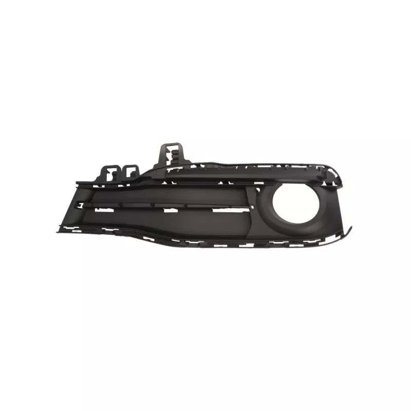 Baguette et bande protectrice, grille de radiateur avant gauche BLIC 6502-07-0063915SP