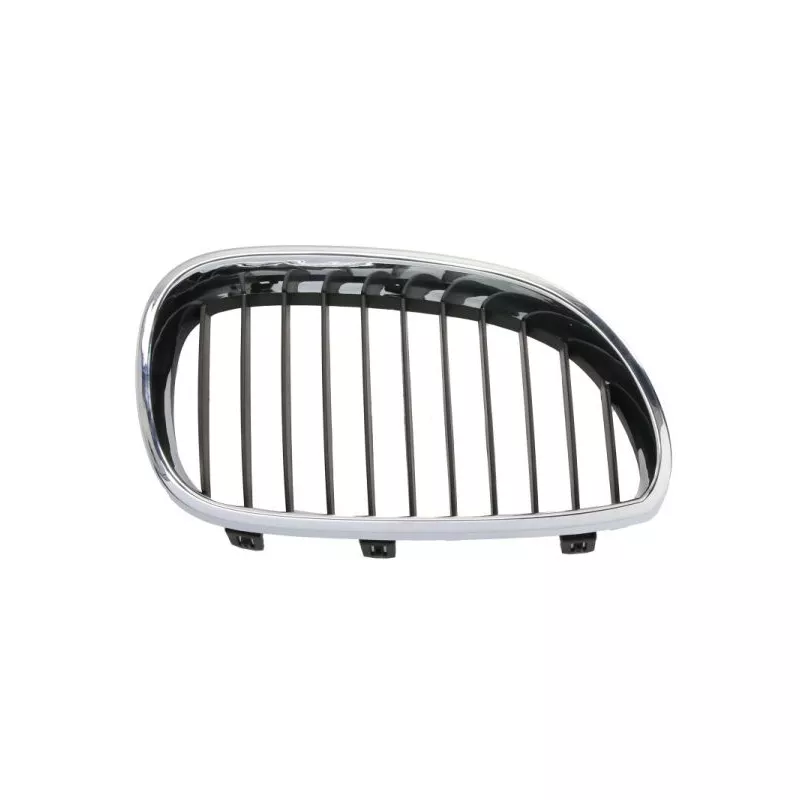 Grille de radiateur avant droit BLIC 6502-07-0066994P