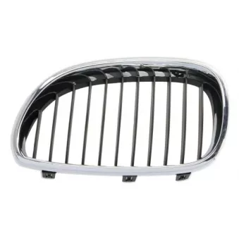 Grille de radiateur avant gauche BLIC 6502-07-0066999P