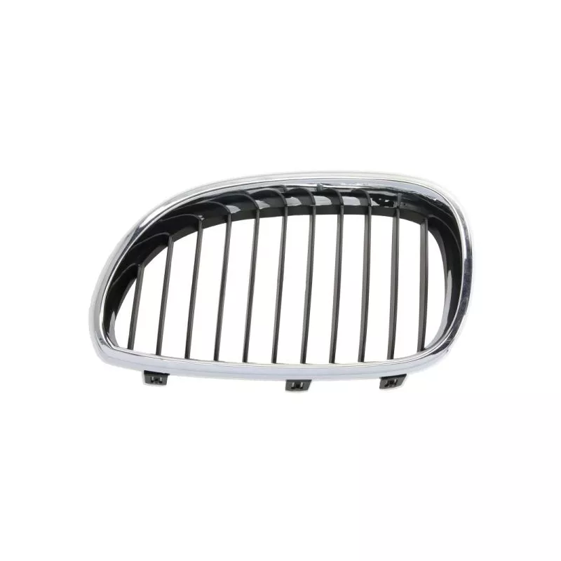 Grille de radiateur avant gauche BLIC 6502-07-0066999P