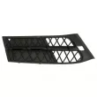 Grille de ventilation, pare-chocs BLIC 6502-07-0067924GP - Visuel 1