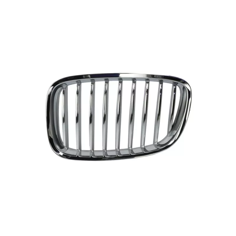 Grille de radiateur avant gauche BLIC 6502-07-0067991GP