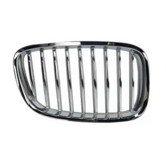 Grille de radiateur avant droit BLIC 6502-07-0067992GP
