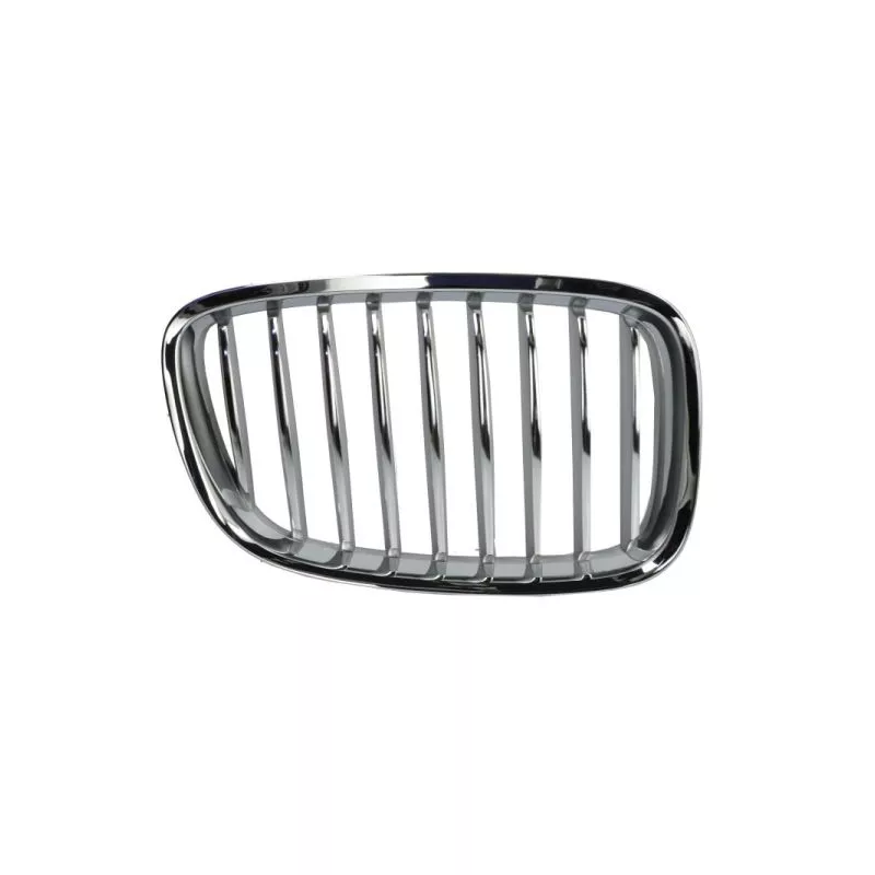 Grille de radiateur avant droit BLIC 6502-07-0067992GP