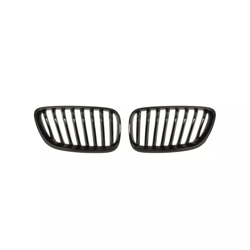 Grille de radiateur BLIC 6502-07-0069993P