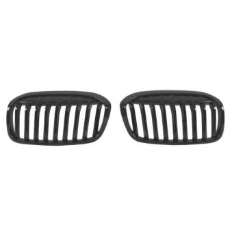 Grille de radiateur BLIC 6502-07-0071995P