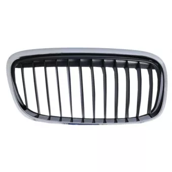 Grille de radiateur avant droit BLIC 6502-07-0071996LP