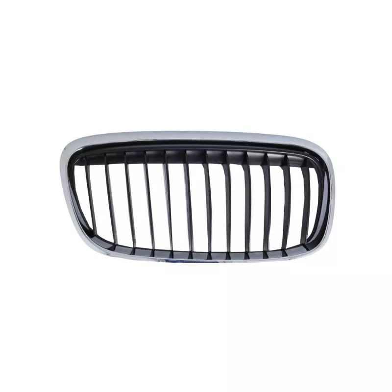 Grille de radiateur avant droit BLIC 6502-07-0071996LP