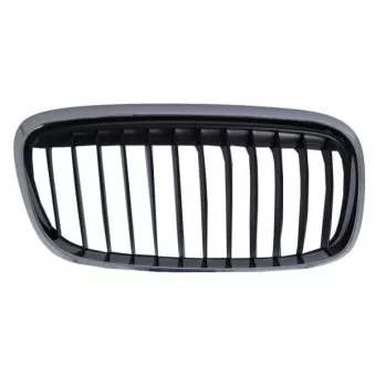 Grille de radiateur avant droit BLIC 6502-07-0071996SP