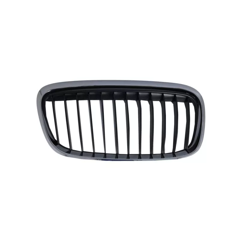 Grille de radiateur avant droit BLIC 6502-07-0071996SP