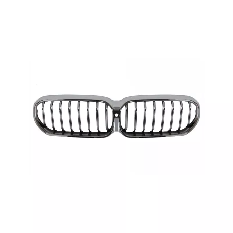 Grille de radiateur BLIC 6502-07-0072991P