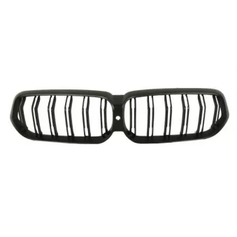 Grille de radiateur BLIC 6502-07-0078917P