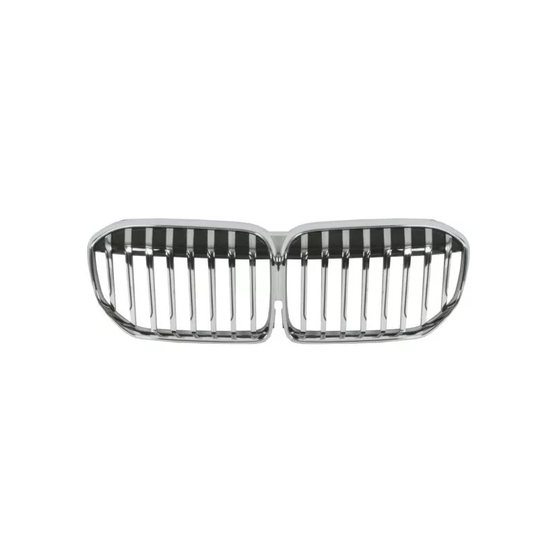 Grille de radiateur BLIC 6502-07-0079991P