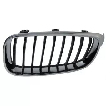 Grille de radiateur avant gauche BLIC 6502-07-0081991GP
