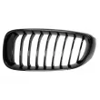 Grille de radiateur avant gauche BLIC 6502-07-0081995P - Visuel 1