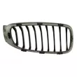 Grille de radiateur avant gauche BLIC 6502-07-0081995P - Visuel 2